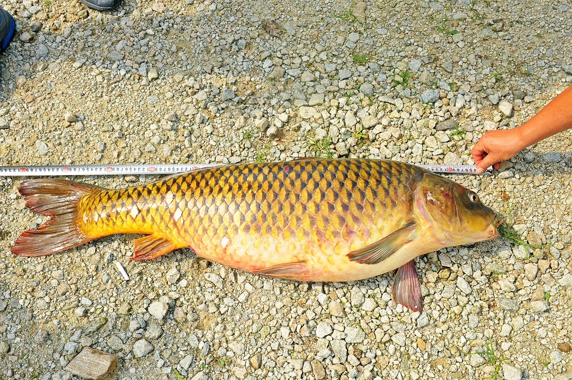 35.JPG