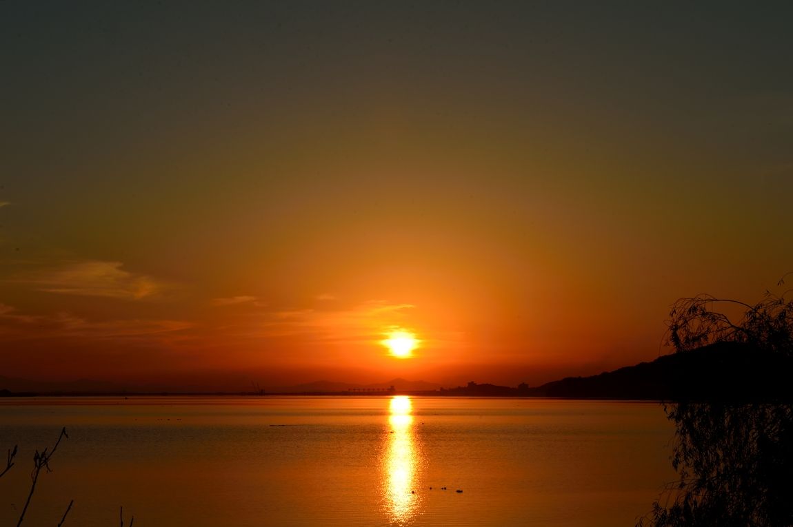 DSC_4899.jpg