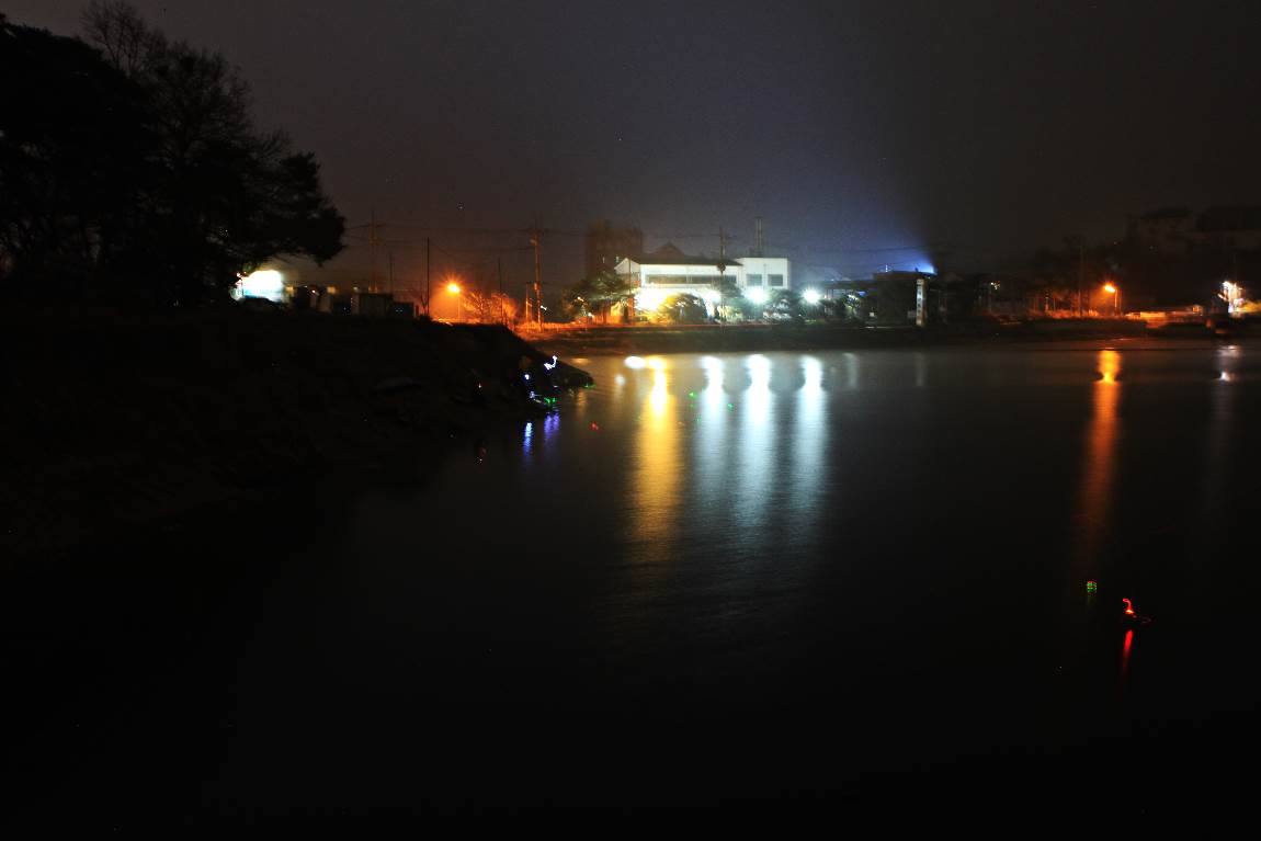 185.JPG