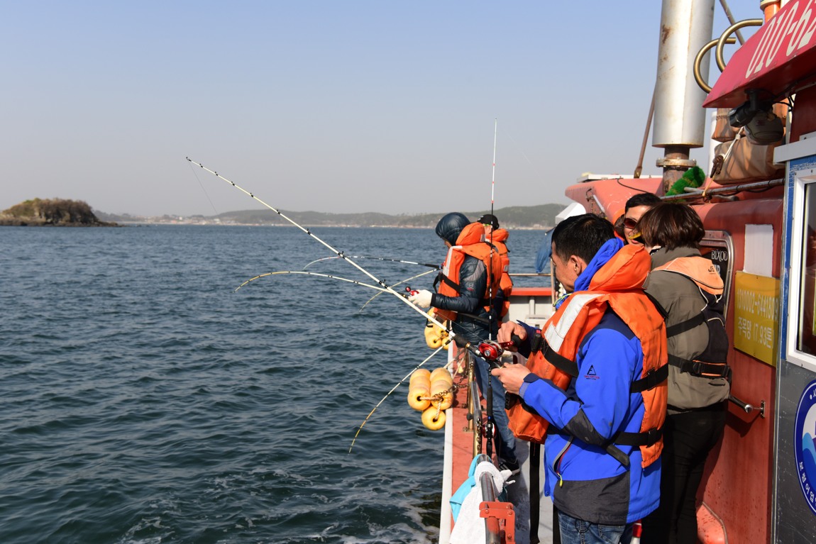 오천 회변항 우럭 생미끼 취재현장 4월19일
