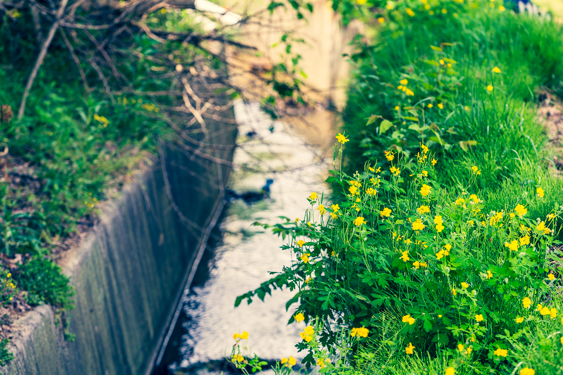 서곡-11.jpg