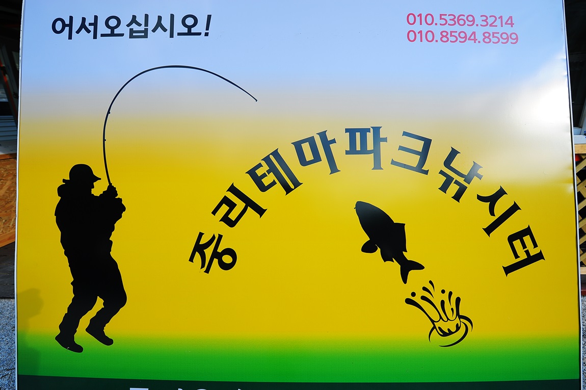 62.JPG