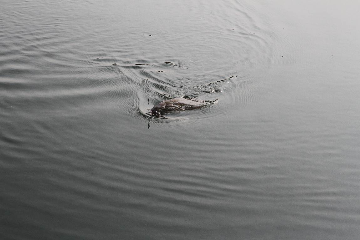 199.JPG
