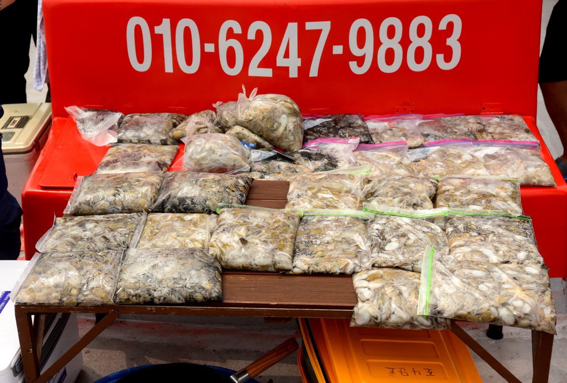 쭈꾸미 출조 취재현장