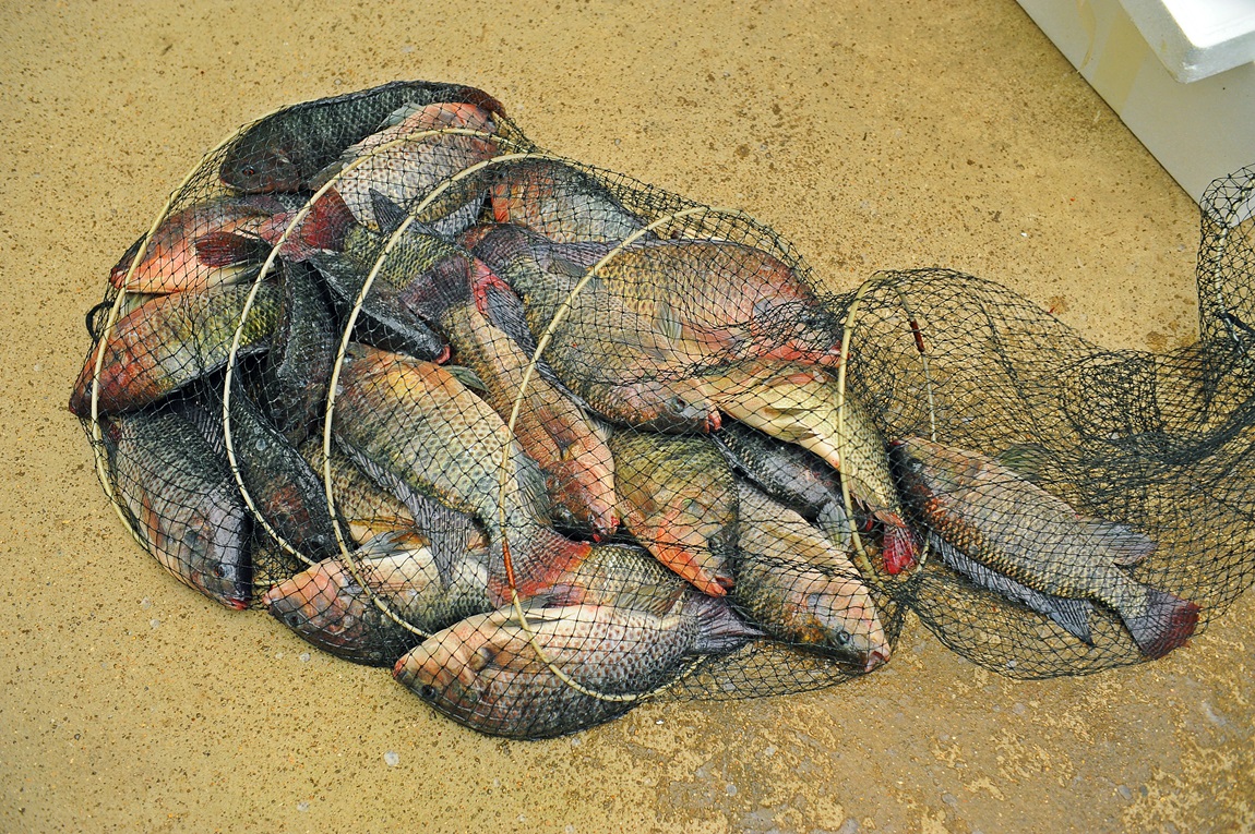 34.JPG