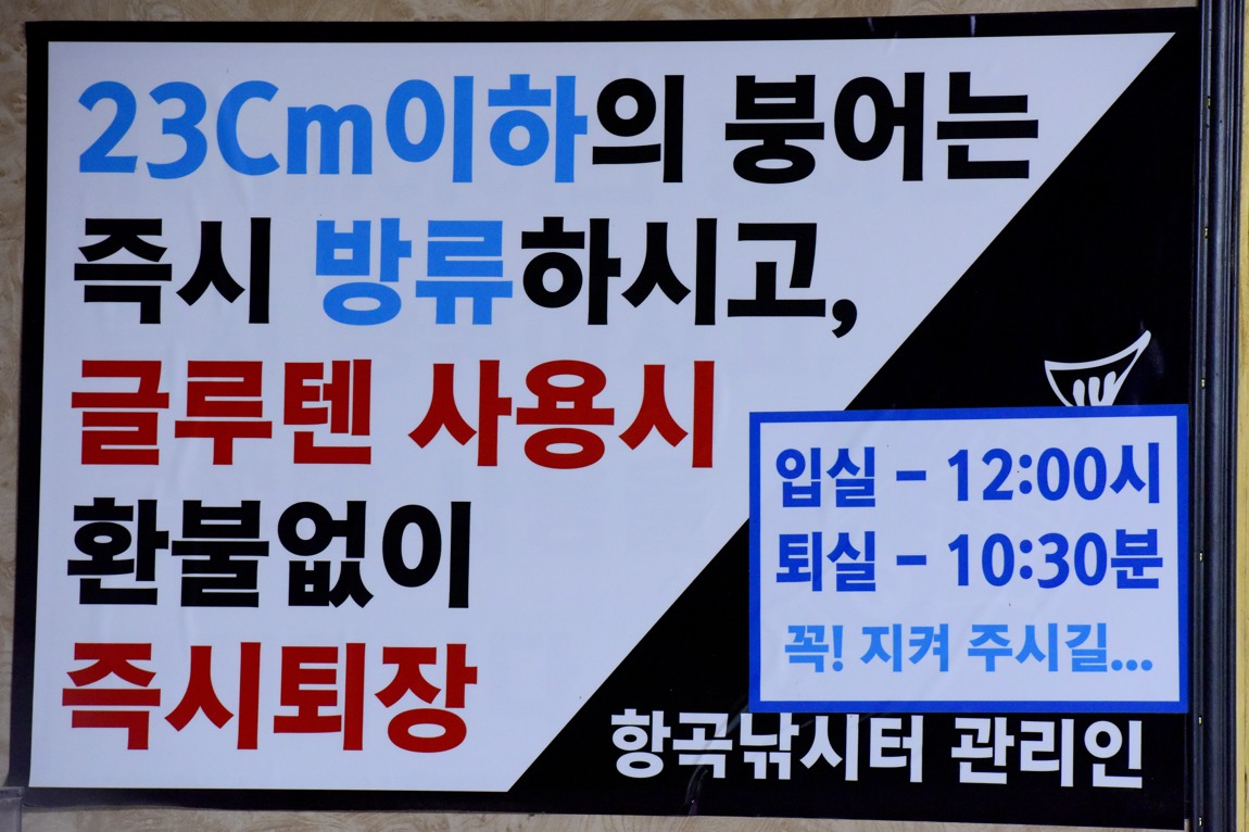 # Ç×°îÁö_47.JPG