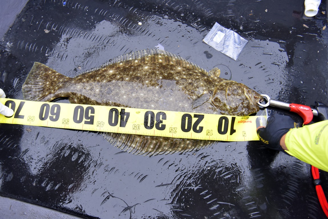 남당항 참돔 낚시대회_23.JPG