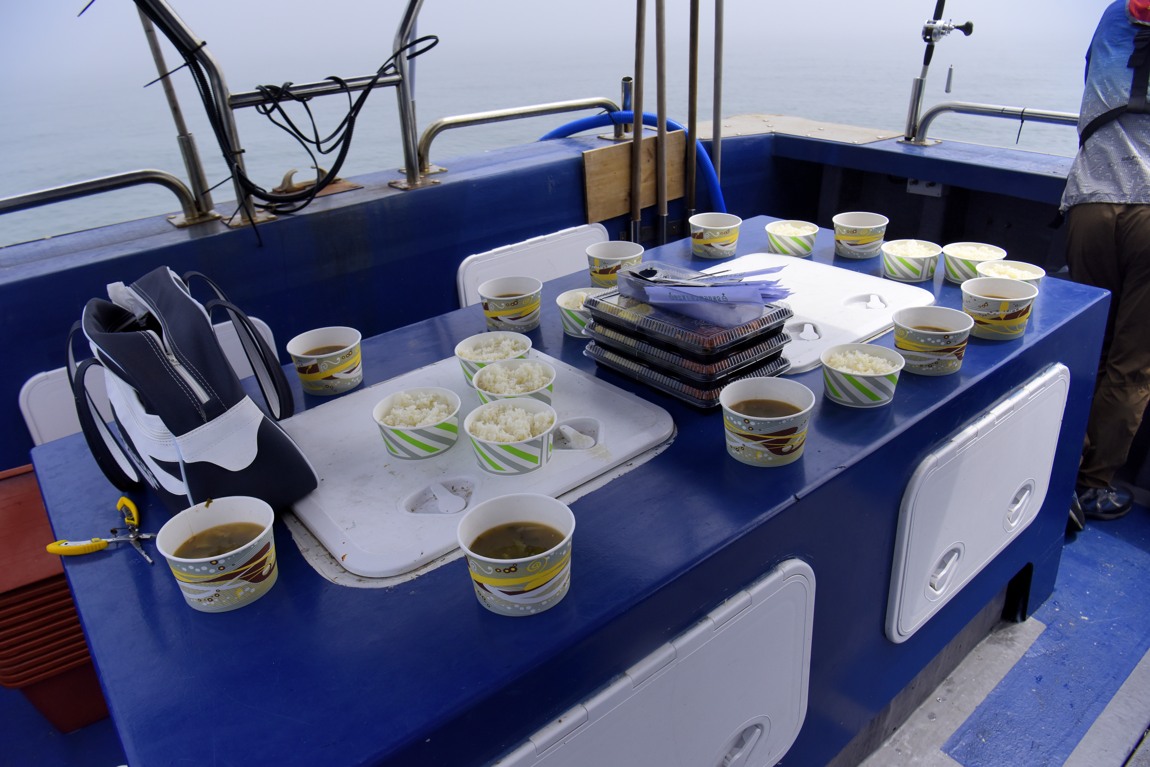 남당항 참돔 낚시대회_27.JPG