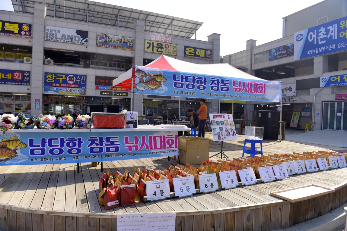 남당항 참돔 낚시대회_41.JPG