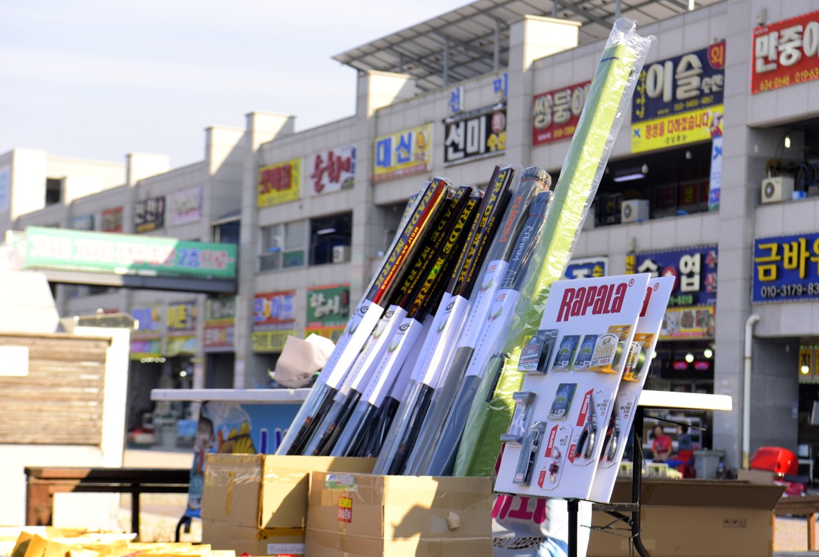 남당항 참돔 낚시대회_43.JPG