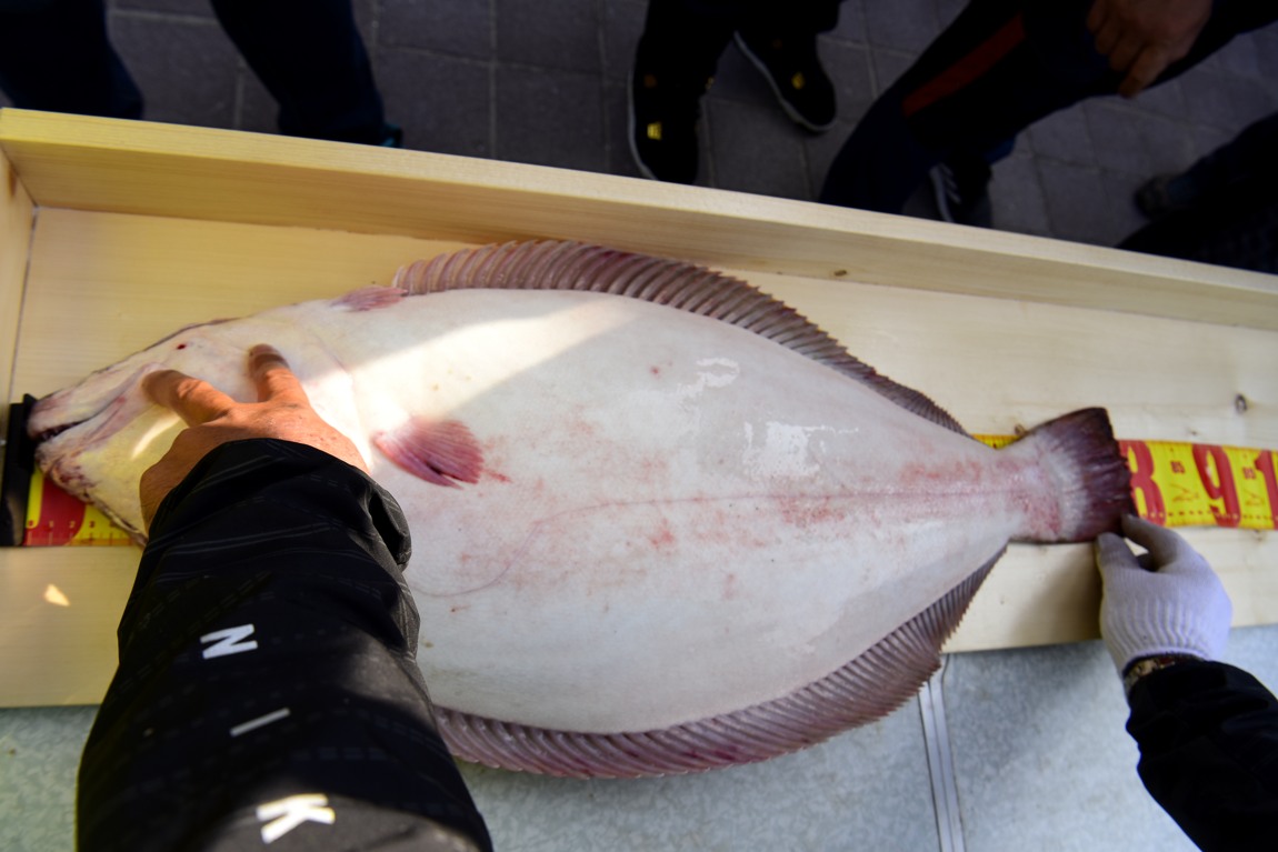 남당항 참돔 낚시대회_50.JPG