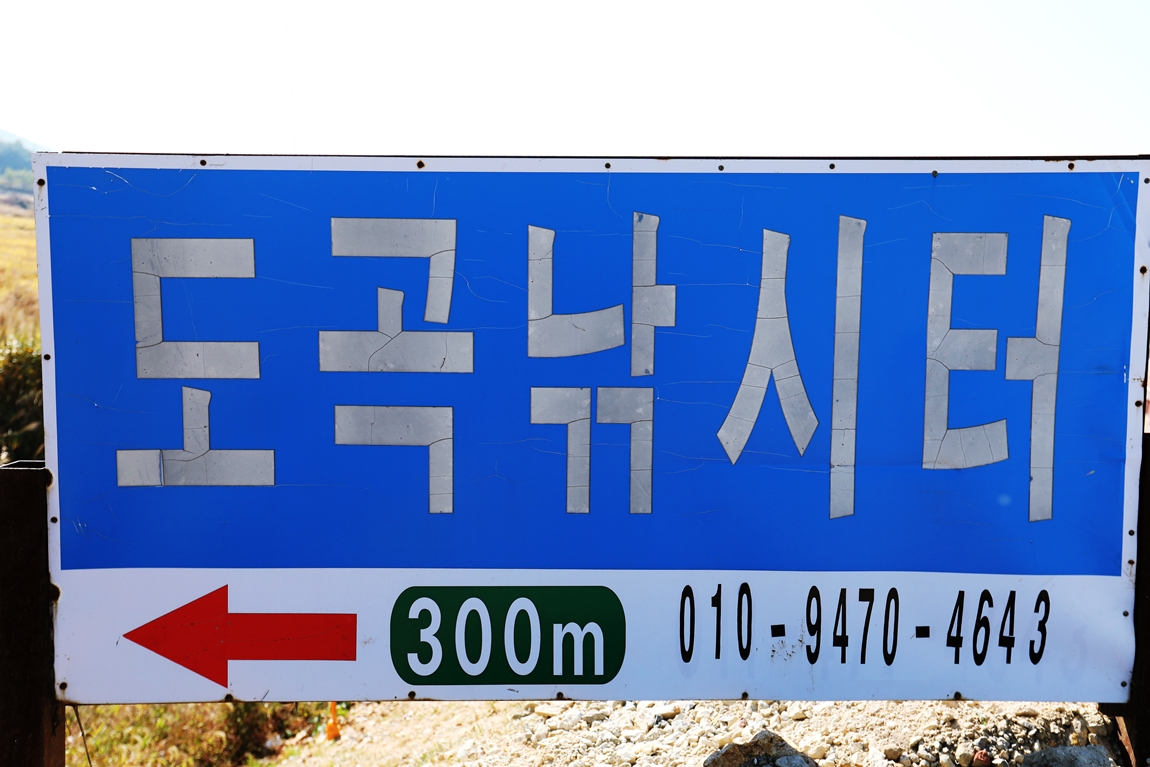 576A5020.JPG