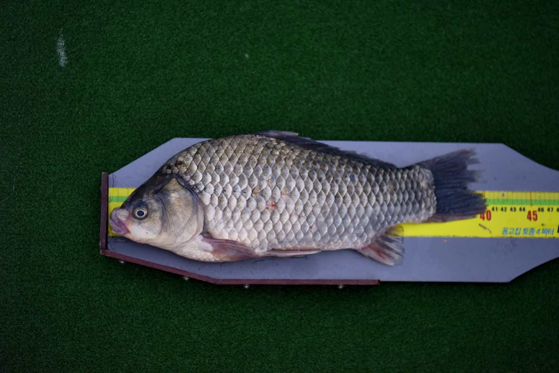 ³»µ¿ ³¬½ÃÅÍ_57.JPG