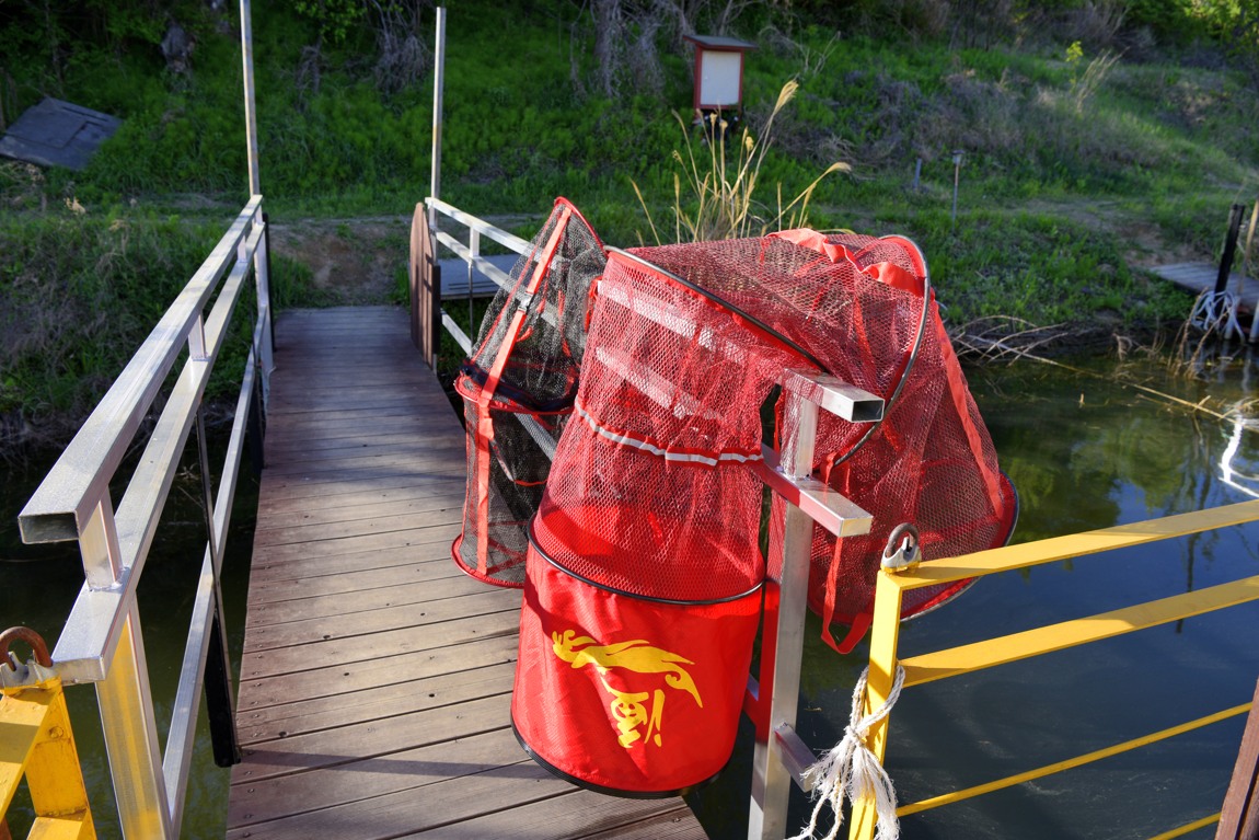 Ȳû ³¬½ÃÅÍ_64.JPG