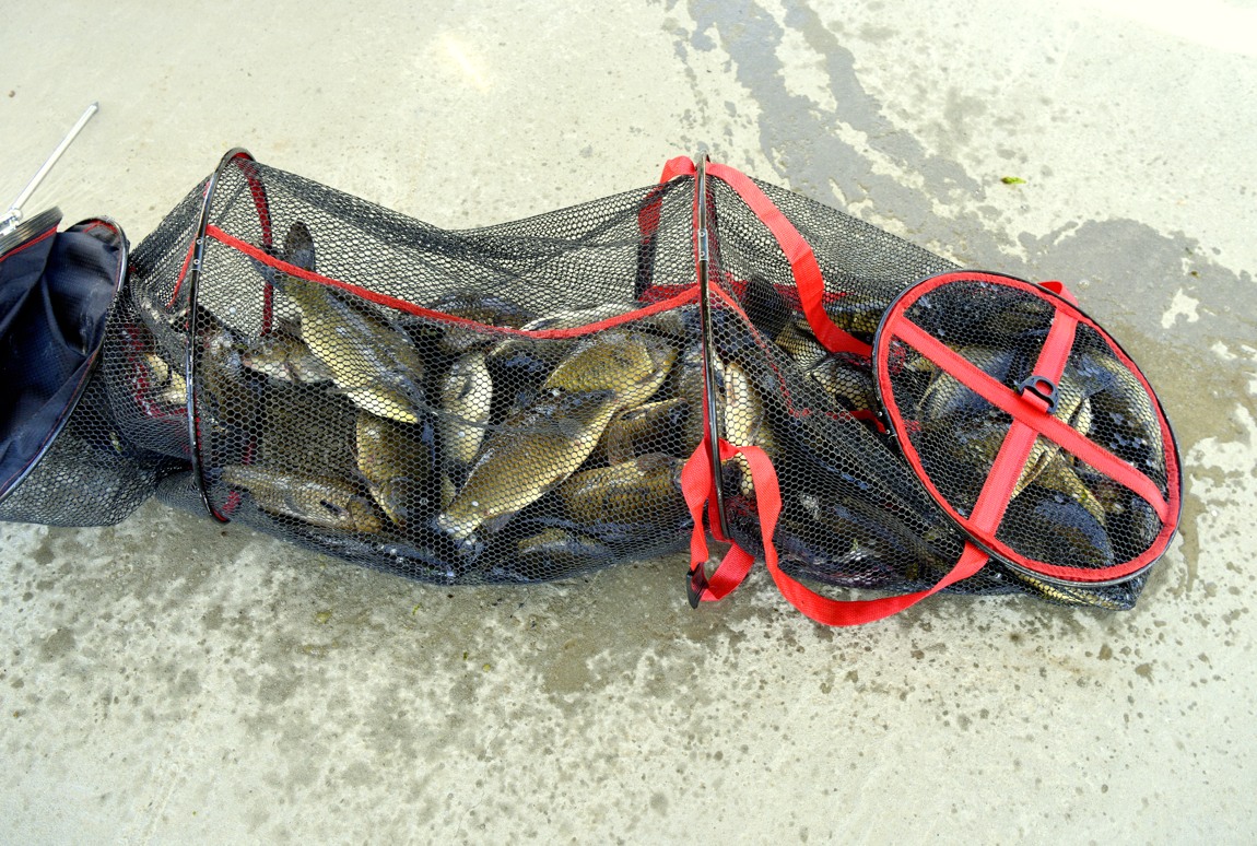 Ȳû ³¬½ÃÅÍ_71.JPG