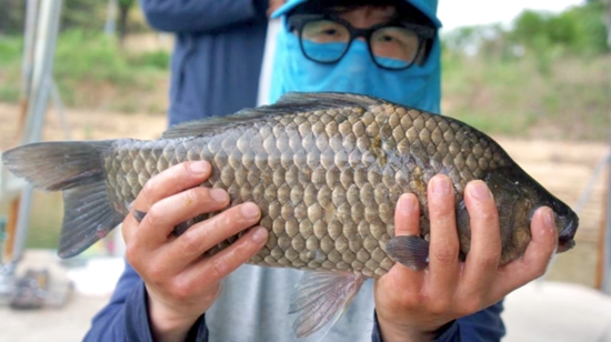 20190519204529_fagl.jpg