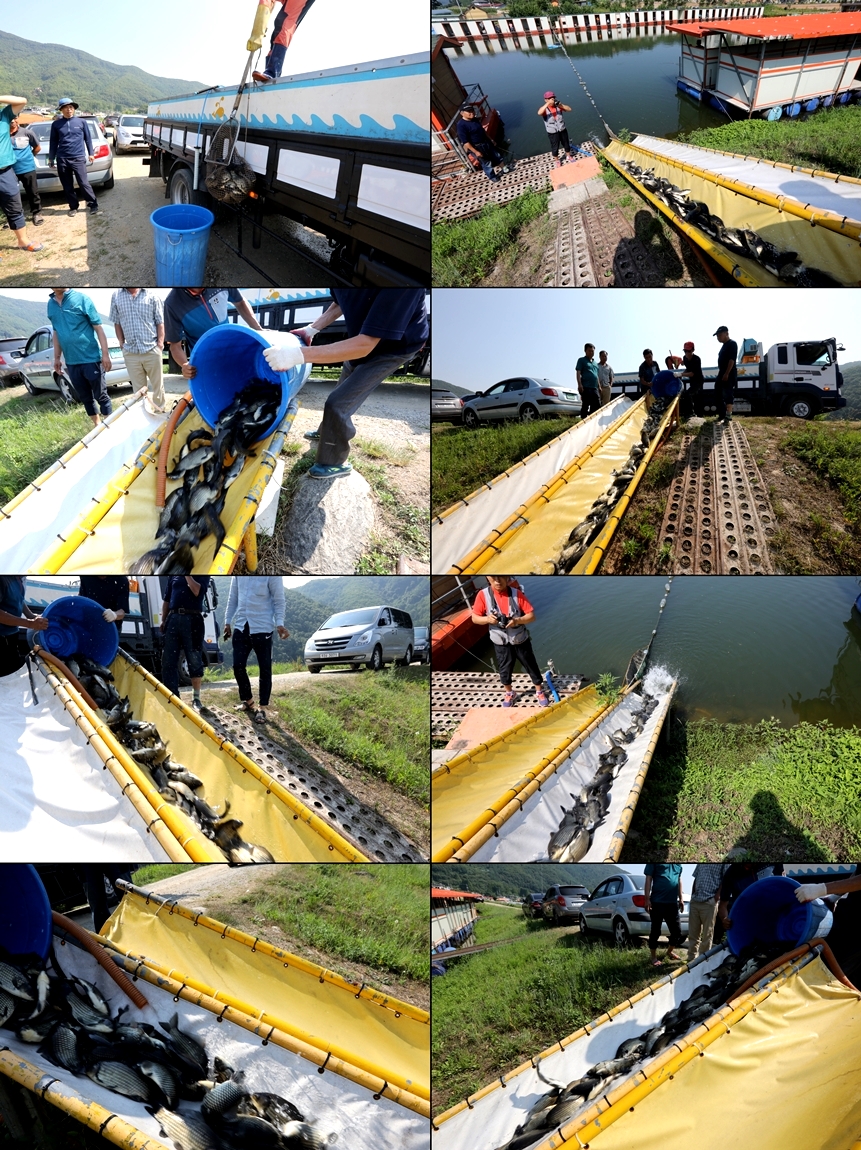 1E3A0314-tile.jpg