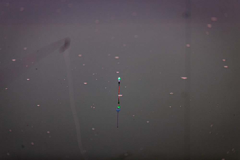 ±ÃÆò-16.jpg