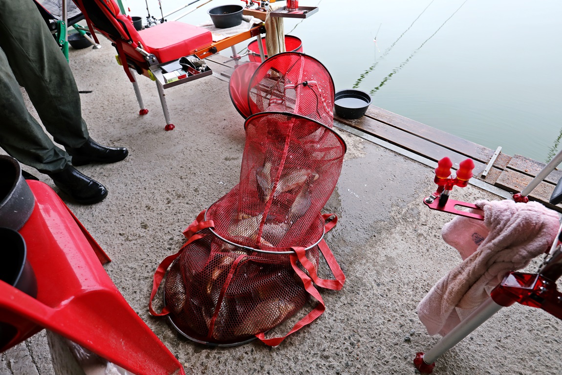 576A8596.JPG