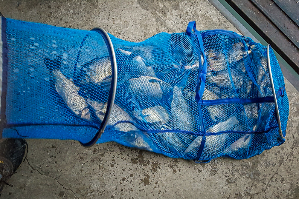 ÃÊ¿ø-45.jpg