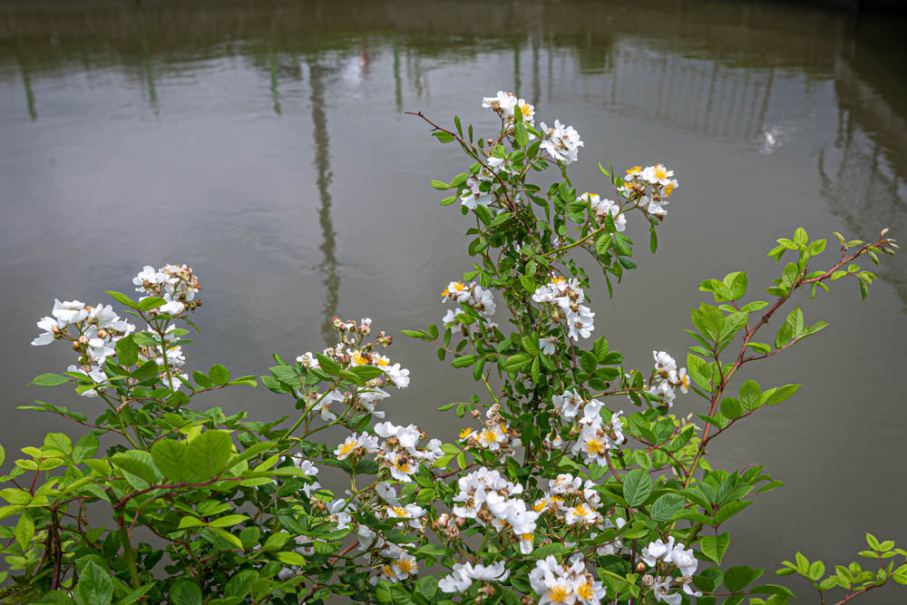 ÀÌÈ-51.jpg