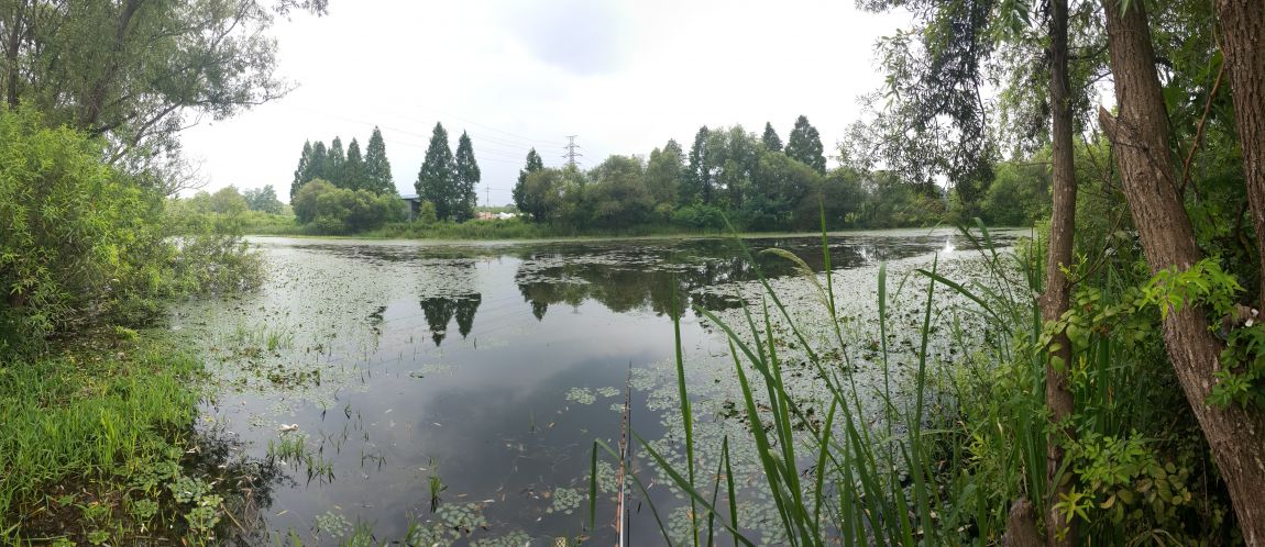 20150828_131313.jpg