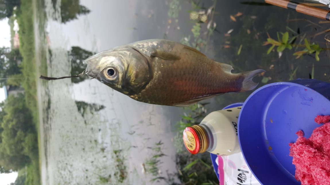 20150828_132932.jpg