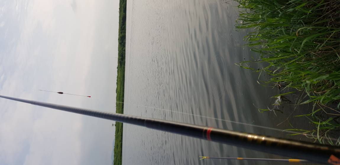 20190827_172523.jpg
