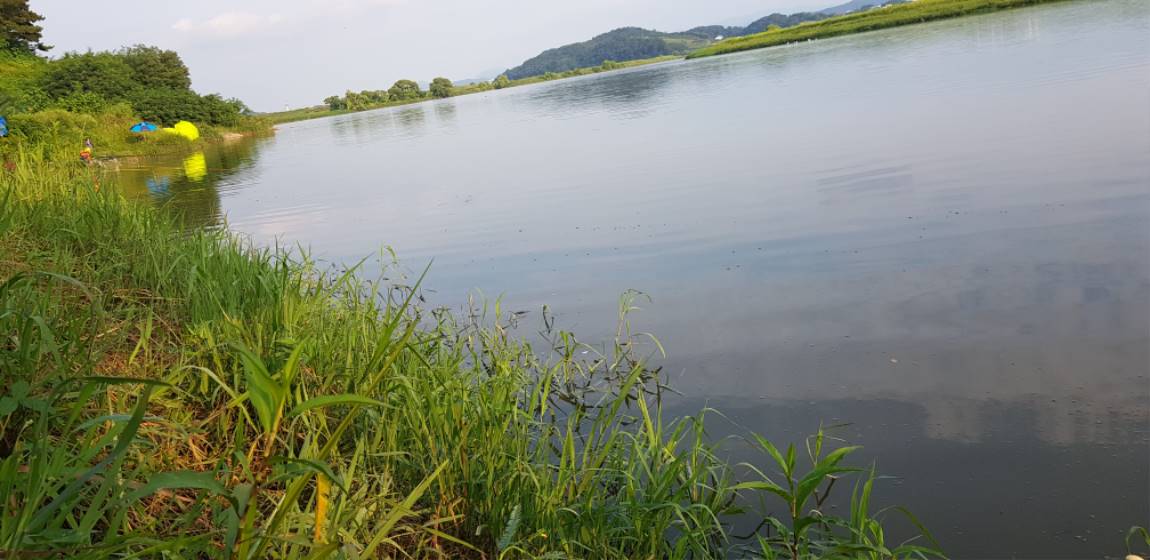 20190827_174903.jpg