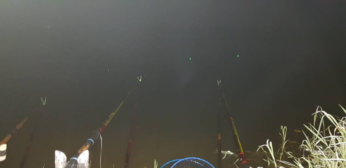 20190827_204409.jpg