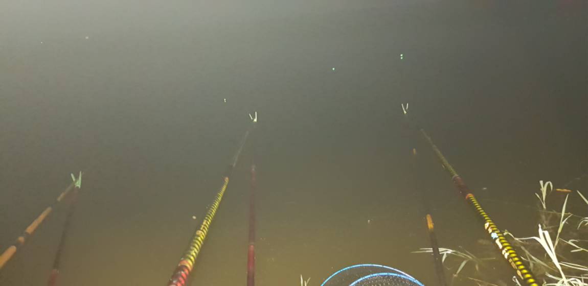 20190827_195331.jpg