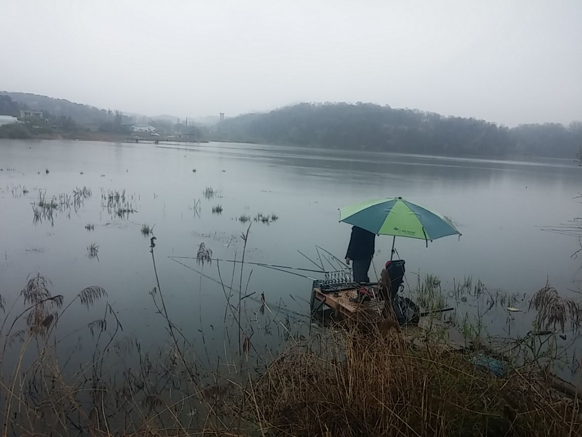 20150419_114144.jpg