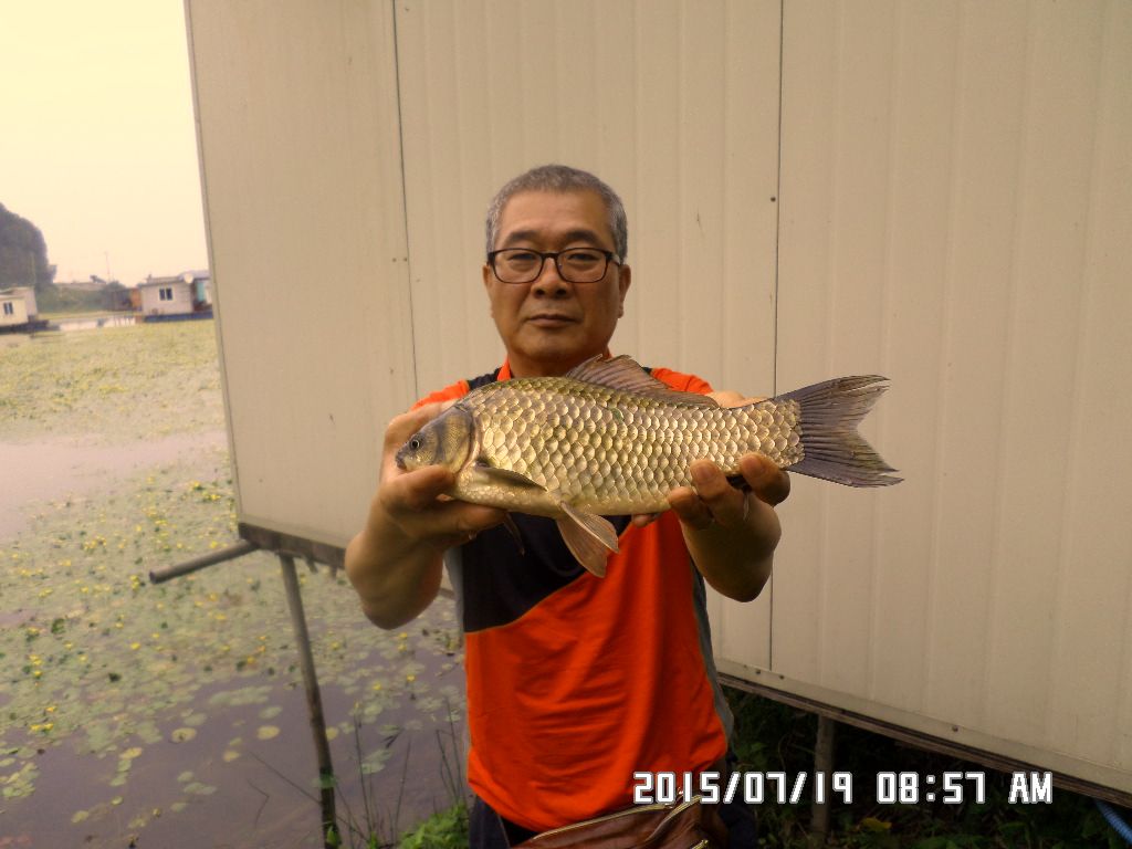SAM_0949.JPG