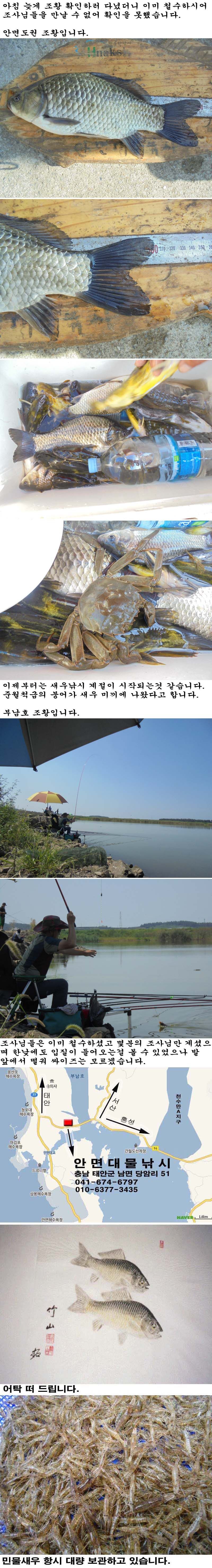 150831.jpg