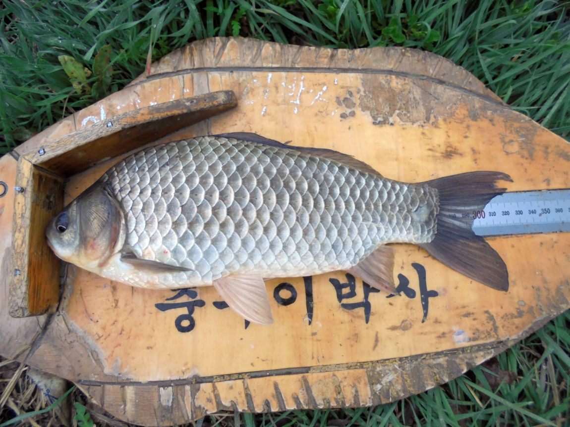 크기변환_012.JPG