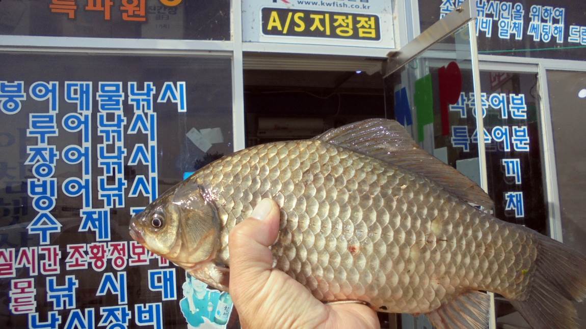 크기변환_036.JPG