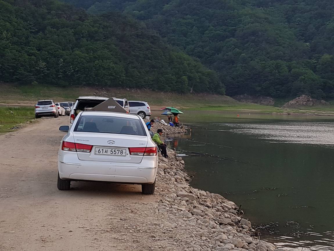 양구낚시-파로호 상류 노지 좌대조황입니다... : 낚시사랑