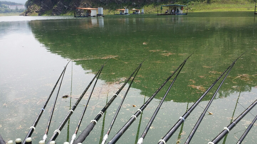 17-7-6-3.jpg
