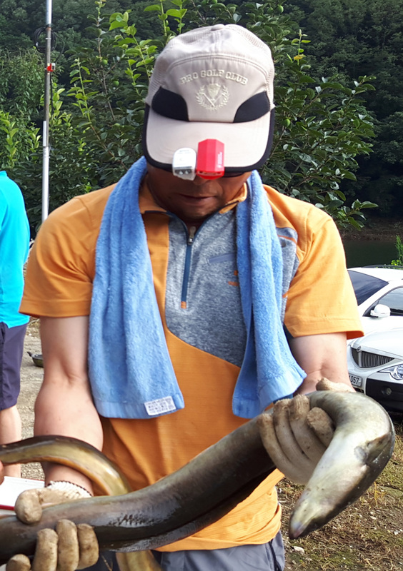 대물장어 이미지