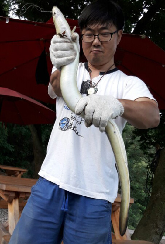 대물장어 이미지