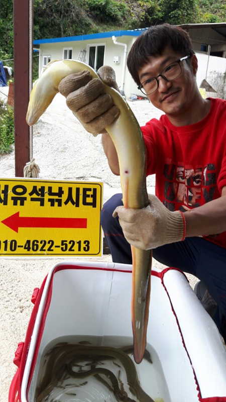 대물장어 이미지