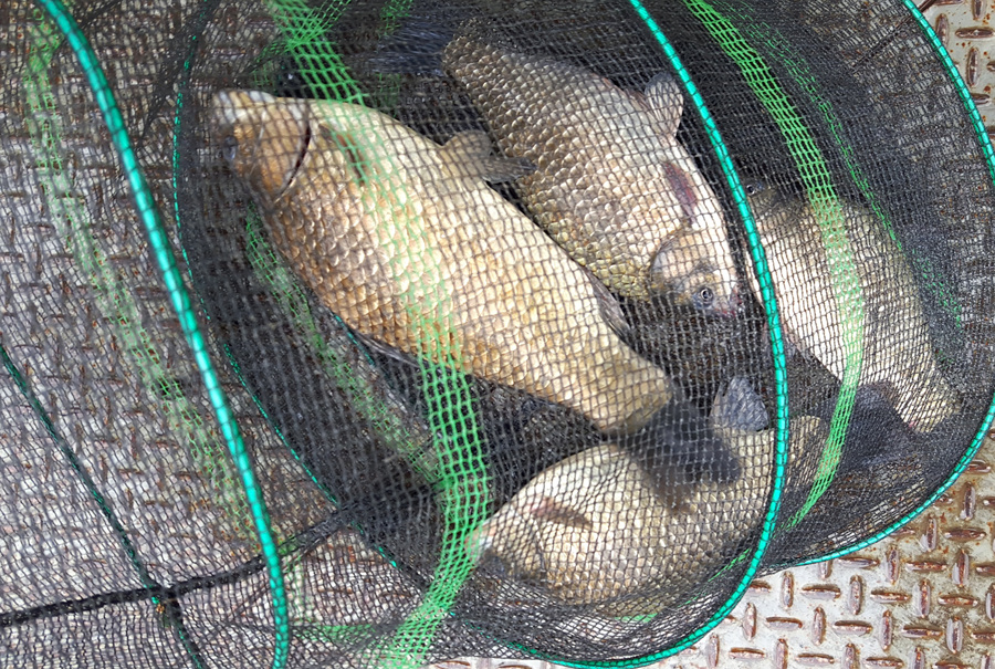 18-5-23-14.jpg