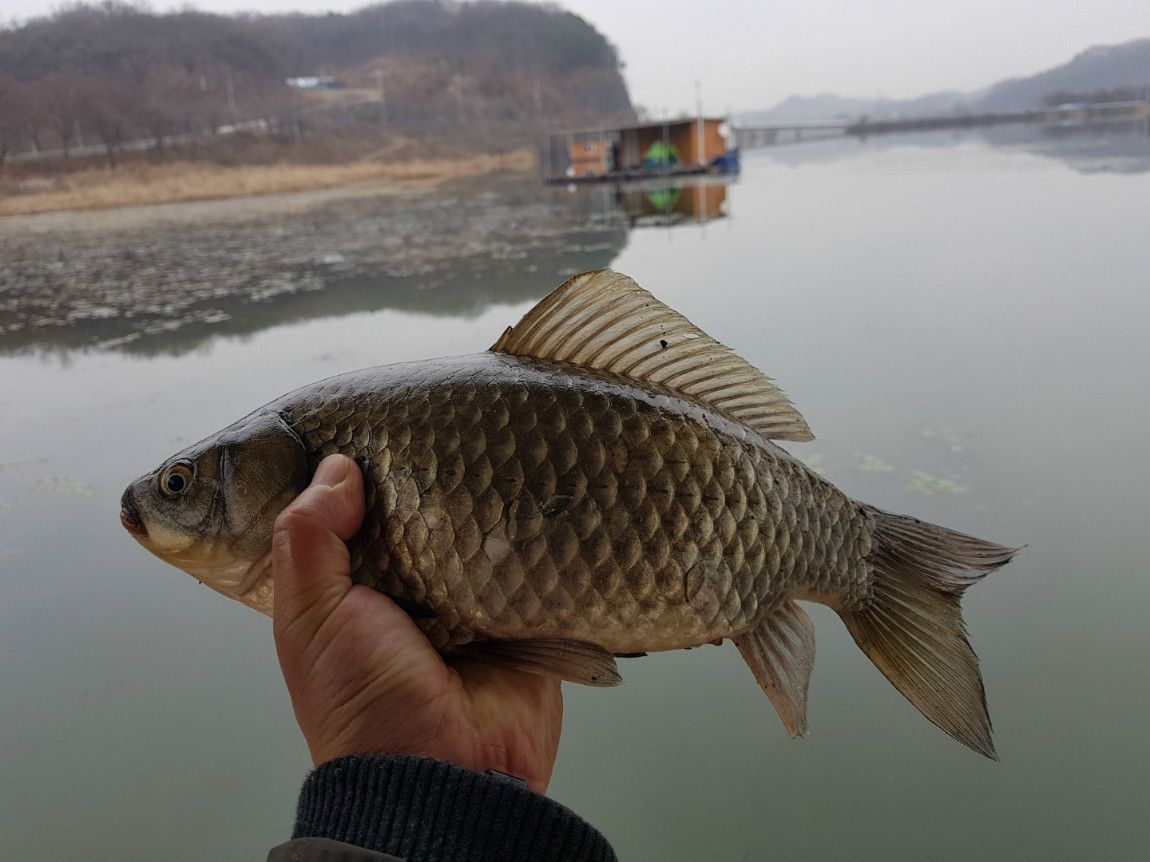 KakaoTalk_20181128_105353576.jpg