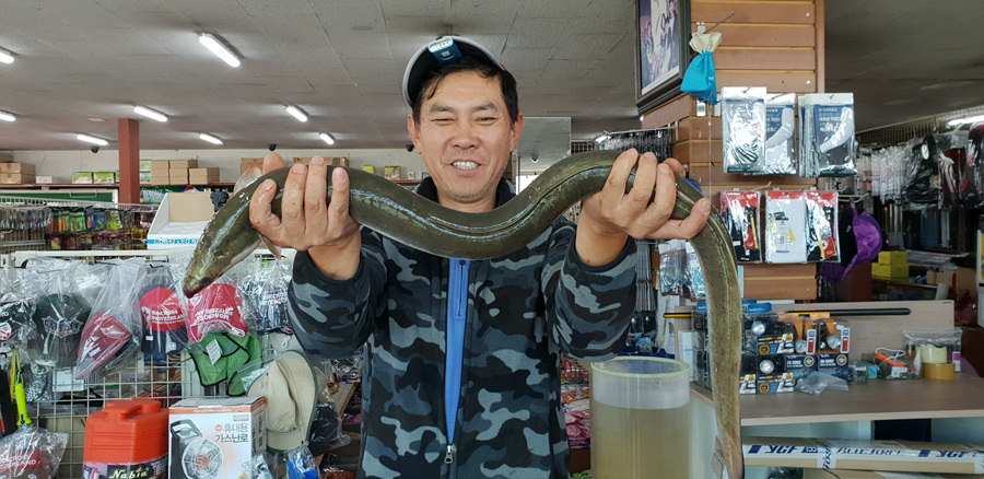 대물장어 이미지