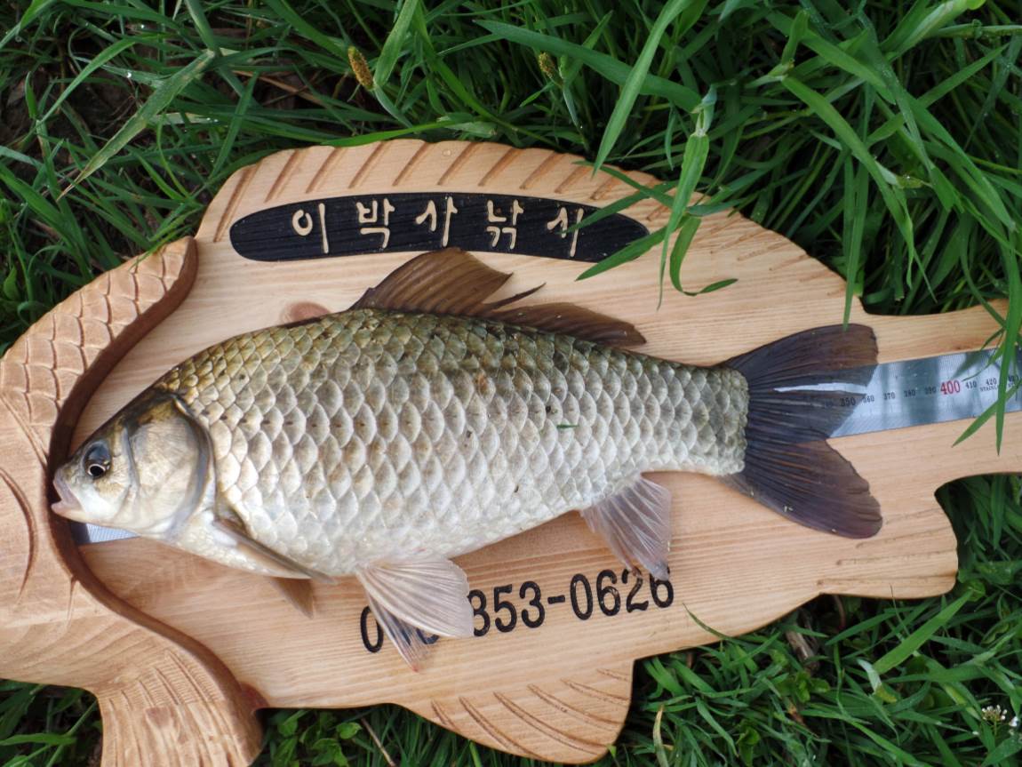 크기변환_002.JPG