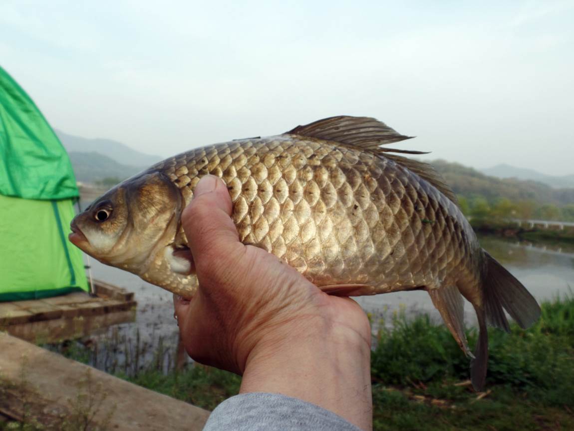 크기변환_003.JPG