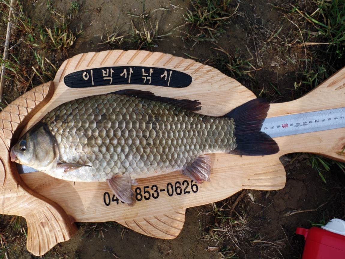 크기변환_011.JPG