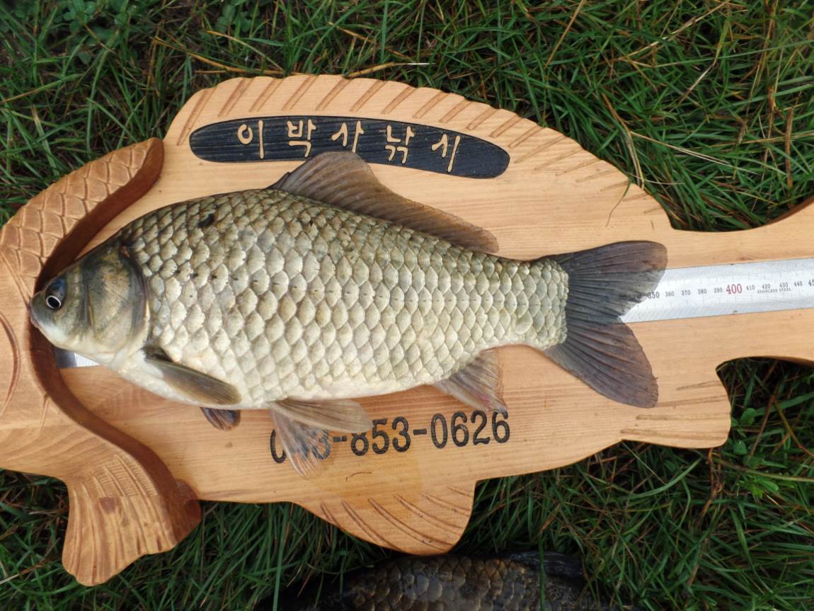크기변환_020.JPG