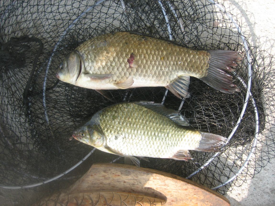 IMG_4847.JPG