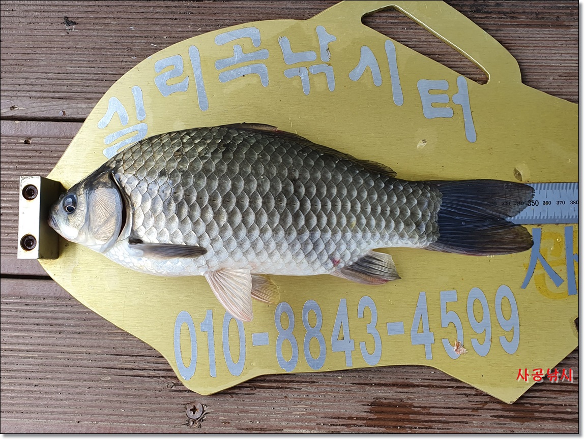 1565234598506.jpg
